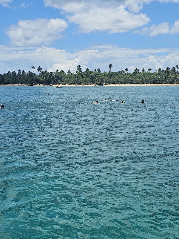 Left Photo